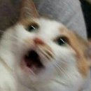 솔로오프 이미지