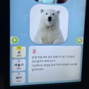 클라우드독 미용실 | 종강좉강 돌을 던지자