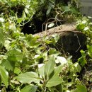 삼달2리 이미지