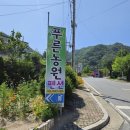 푸른농원 | 단양숙소 / 다리안계곡 근처 ‘푸른농원펜션’ 2박 후기