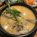 돈수백 이미지