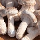 깊은내농장 이미지