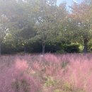 올림픽베어스타운아파트앞 이미지