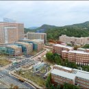 동산병원
