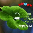 현일 이미지