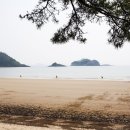 신안자연휴양림 이미지