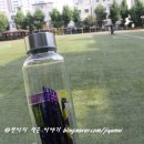 익스프로레포츠