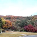 아름답고 예쁘개 이미지