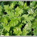 시민의료기 이미지