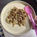 (주) 하나사료 | 강아지 샘플 사료 모음과 후기ㅣ편식 강아지 밥 먹이기 프로젝트