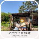강아지와 전라도여행,곡성 기차마을 애견동반 펜션에서 힐링
