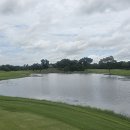 로터스(주) 이미지