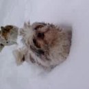 광복택시 이미지