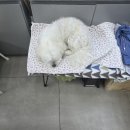 안경 잘하는 집 안경박사 수완점