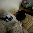 불개미옷수선 - 금산군 뒷담말길 18 | 엘도로(맞춤정장)&연수동-스크린골프&성서동-불개미옷수선&문화동-큰집닭강정(feat.카타르월드컵,with.❤️)