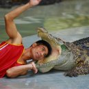 카페 자주 이미지