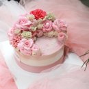 롤리앤폴리 이미지