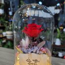 이든테라피 이미지