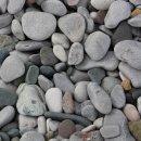 국민권익 해밀 행정사 사무소 이미지