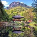 백양사 쌍계루 이미지