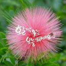미덕 이미지
