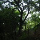 은나와라 뚝딱 이미지