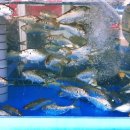 남구바다맛길 이미지