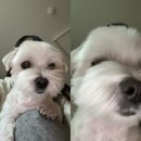 다원PC방 | 2025 연말결산