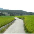 대안3길 이미지