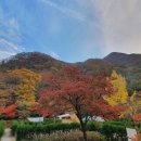 내장산국립공원화장실(야영장) 이미지