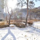 자이1공인중개사사무소 이미지