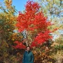 차라공인중개사사무소 이미지