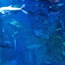 화지8리 이미지