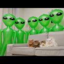 주-모야소프트 이미지