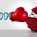 ㈜지놈앤컴퍼니 이미지