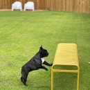 까사드만수 이미지