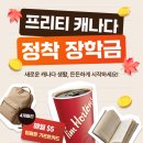 캐나다 유학·워홀 준비 중이라면 주목! 4개월 동안 매월 받는 정착 장학금 혜택❤️ 이미지