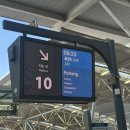 펫마트경주점 | [경북/포항 여행]포항 가볼만한 곳 추천 부모님과 함께하는 포항 경주 3박 4일 효도여행 1편