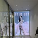 분당 미용실 헤어다이아 미금스타점 매트 브라운 톤다운 염색 후기