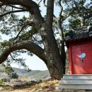 국수당 이미지
