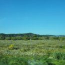 조선국밥 이미지