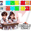 용인대 최봉준 태권스쿨 태권도장 이미지