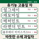 벨스타 이미지