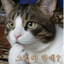 공지쉼터 이미지