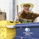 Bee HOTEL 이미지