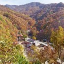 민주지산자연휴양림 이미지