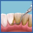 365서울차오름치과의원 이미지