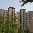 꿈에그린(아) 이미지