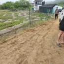 금일농장 이미지