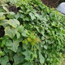 한마음농장 2 이미지